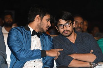 Ekkadiki Pothavu Chinnavada Movie Audio Success Meet